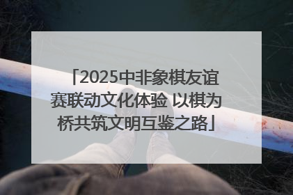 2025中非象棋友谊赛联动文化体验 以棋为桥共筑文明互鉴之路